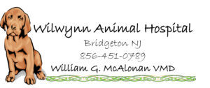 animal hospital logo
